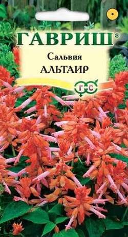 Семена. Сальвия «Альтаир», 5 шт, карликовая