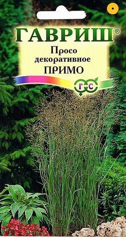 Семена. Просо «Примо декоративное», 1,0 г | Однолетние цветы (Гавриш) | Гавриш