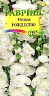 Семена. Мальва «Рождество», 0,1 г
