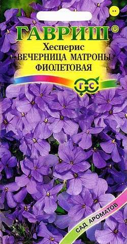 Хесперис «Вечерница Матроны, фиолетовая», 0,1 г