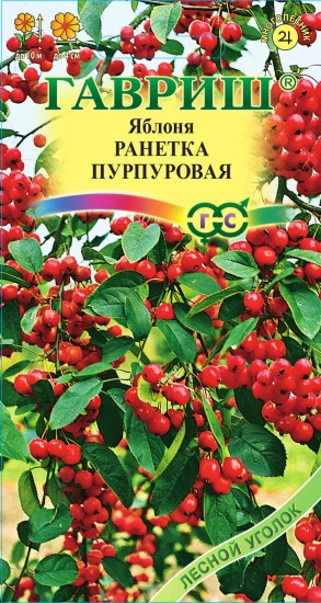 Семена. Яблоня «Ранет пурпуровый», 0,1 г
