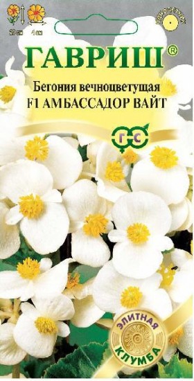 Семена. Бегония «Амбассадор Вайт F1», 4 шт