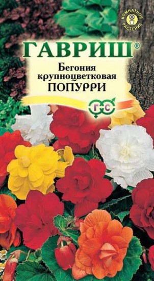 Семена. Бегония «Попурри» клубневая (смесь), 5 шт
