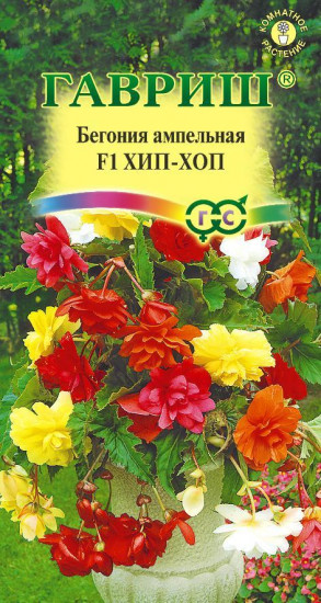 Семена. Бегония «Хип-Хоп F1» (смесь), 4 шт