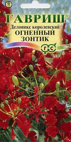 Делоникс королевский «Огненный зонтик», 3 шт