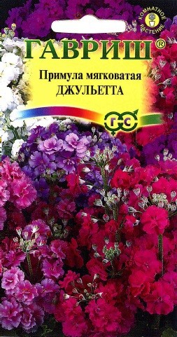 Семена. Примула «Джульетта» мягковатая, 10 шт