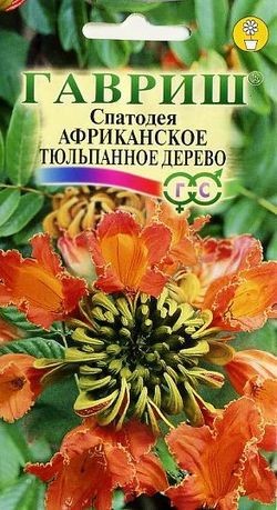 Семена. Спатодея «Африканское тюльпанное дерево», 0,05 г