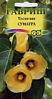 Семена. Теспезия «Суматра», 3 шт
