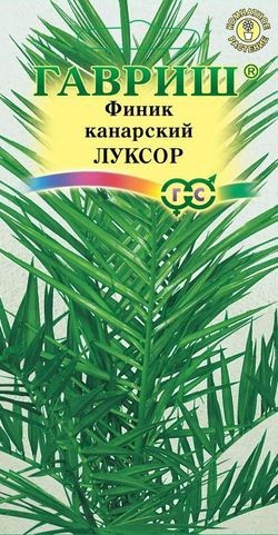 Семена. Финик канарский «Луксор», 2 шт
