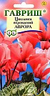 Семена. Цикламен «Аврора» персидский, 3 шт