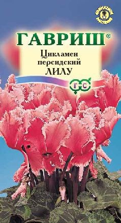 Семена. Цикламен «Лилу» персидский, 3 шт
