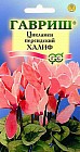Семена. Цикламен «Халиф» персидский, 3 шт
