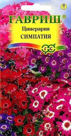 Семена. Цинерария «Симпатия», 10 шт