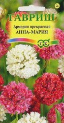 Семена. Армерия «Анна Мария», 0,03 г