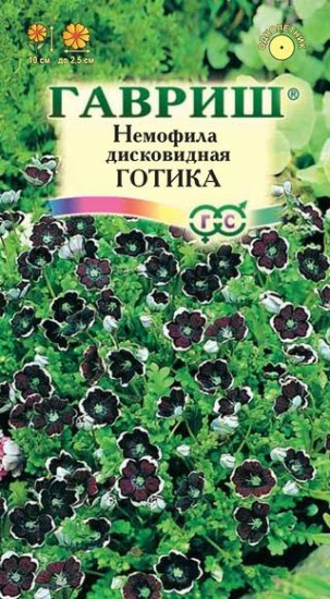 Семена. Немофила дисковидная «Готика», 0,2 г