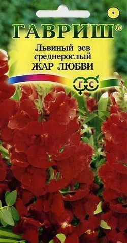 Семена. Львиный зев «Солнечный», 0,1 г