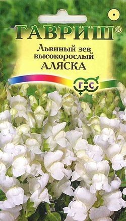 Семена. Львиный зев высокорослый «Аляска», 0,1 г