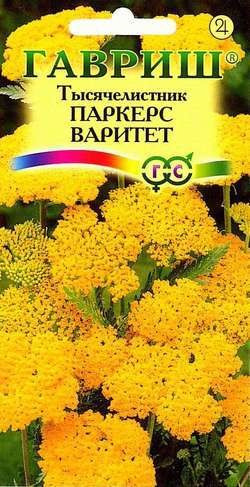 Семена. Тысячелистник «Паркерс Варитет», 0,1 г