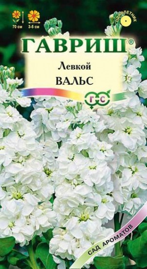 Семена. Левкой «Вальс», 0,1 г