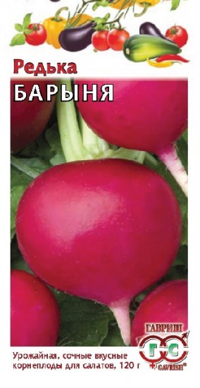 Семена. Редька черная «Барыня»,  1 г