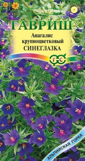 Семена. Анагалис «Синеглазка», 0,1 г