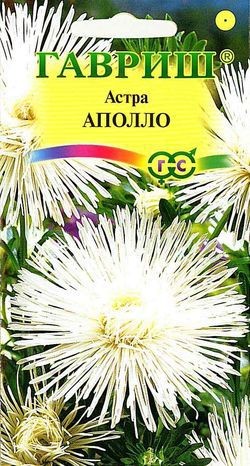 Семена. Астра «Аполло» игольчатая, 0,3 г