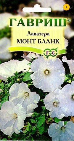 Семена. Лаватера «Монт Бланк», 0,5 г