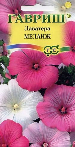 Семена. Лаватера «Меланж», смесь, 0,5 г