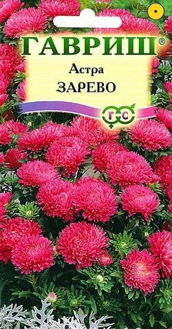 Семена. Астра «Зарево» карликовая, 0,3 г