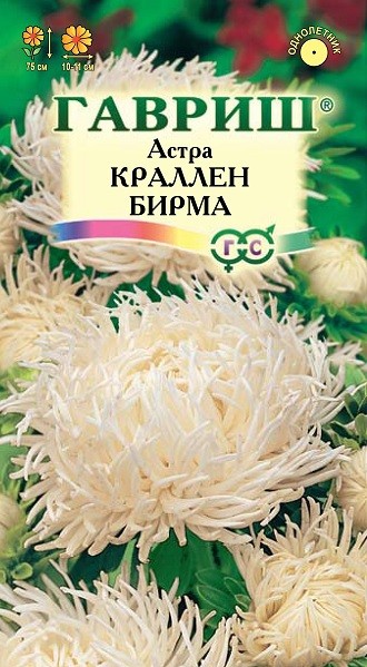 Семена. Астра «Краллен Бирма», 0,3 г | Однолетние цветы (Гавриш) | Гавриш