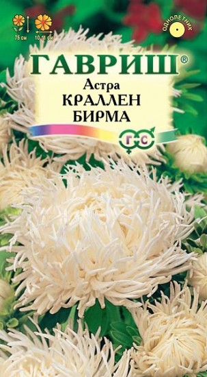 Семена. Астра «Краллен Бирма», 0,3 г