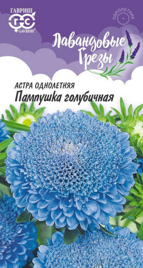 Семена. Астра «Пампушка голубичная», 0,3 г