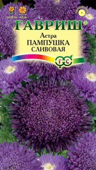 Семена. Астра «Пампушка сливовая», 0,3 г
