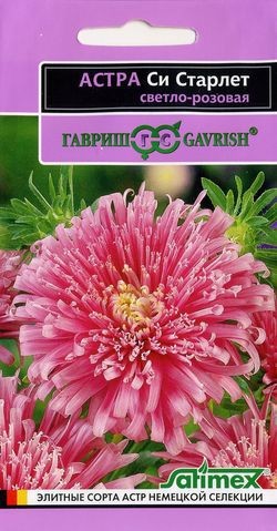Семена. Астра «Си Старлет», 0,1 г
