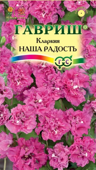 Семена. Кларкия «Наша радость», 0,1 г