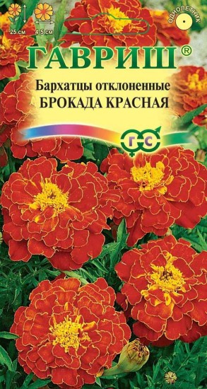 Бархатцы отклоненные «Брокада красная» (Тагетес), 0,3 г