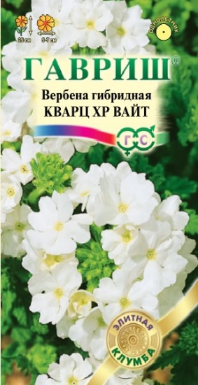 Семена. Вербена «Кварц XP Вайт», 5 шт