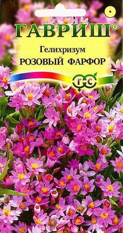 Семена. Гелихризум «Розовый фарфор», 0,1 г