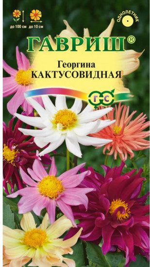 Семена. Георгина «Кактусовидная» (смесь), 0,2 г