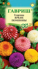 Семена. Георгина «Яркие помпоны», 0,2 г