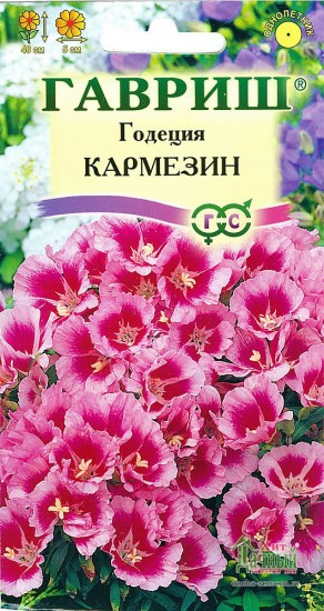 Семена. Годеция «Кармезин»