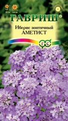 Семена. Иберис «Аметист», 0,2 г