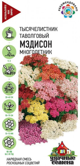 Семена. Тысячелистник «Мэдисон», 0,1 г