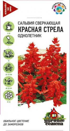 Семена. Сальвия «Красная стрела», 0,1 г