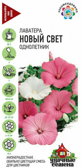 Семена. Лаватера «Новый свет»