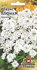 Семена. Иберис зонтичный «Плюмаж», 0,2 г