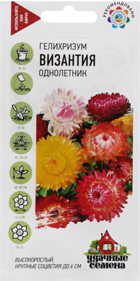 Семена. Гелихризум «Византия»