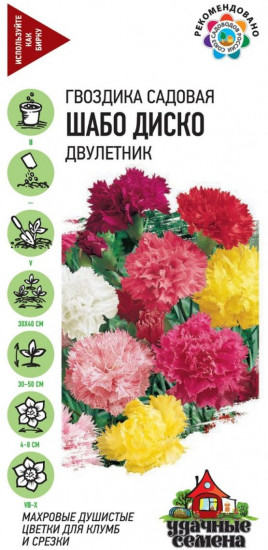 Семена. Гвоздика Шабо «Диско», 0,1 г