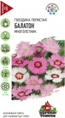 Семена. Гвоздика перистая «Балатон», 0,2 г