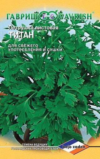 Семена. Петрушка листовая «Титан» (Голландия), 0,5 г